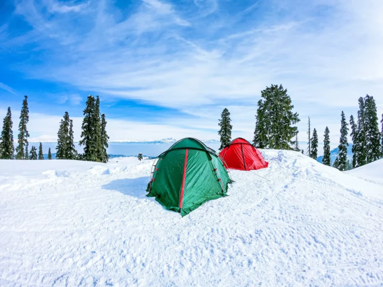 11 Best Tips on How To Camp in The Snow?