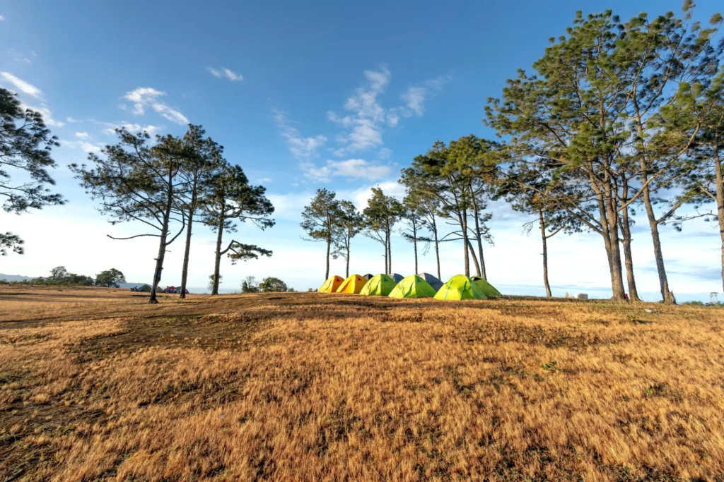 Best Instant Tents for Camping - Explore the Great Outdoors with Ease